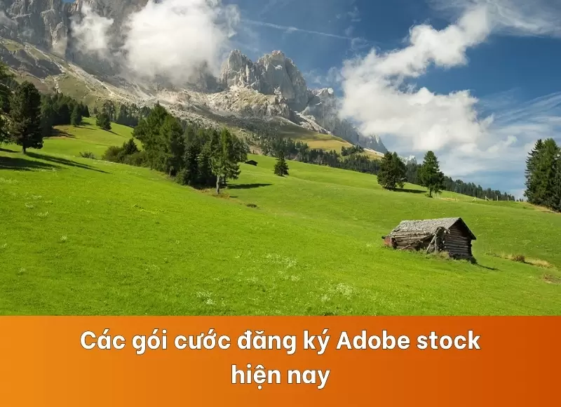 các gói cước đăng ký adobe stock