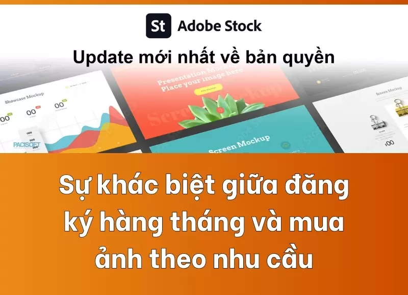 các gói cước đăng ký adobe stock