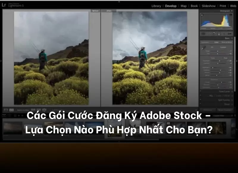 các gói cước đăng ký adobe stock