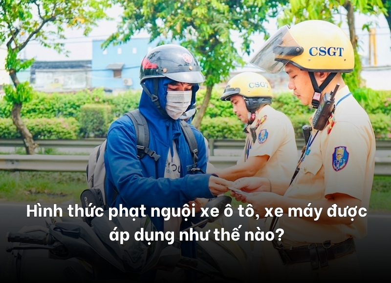 check lỗi phạt nguội