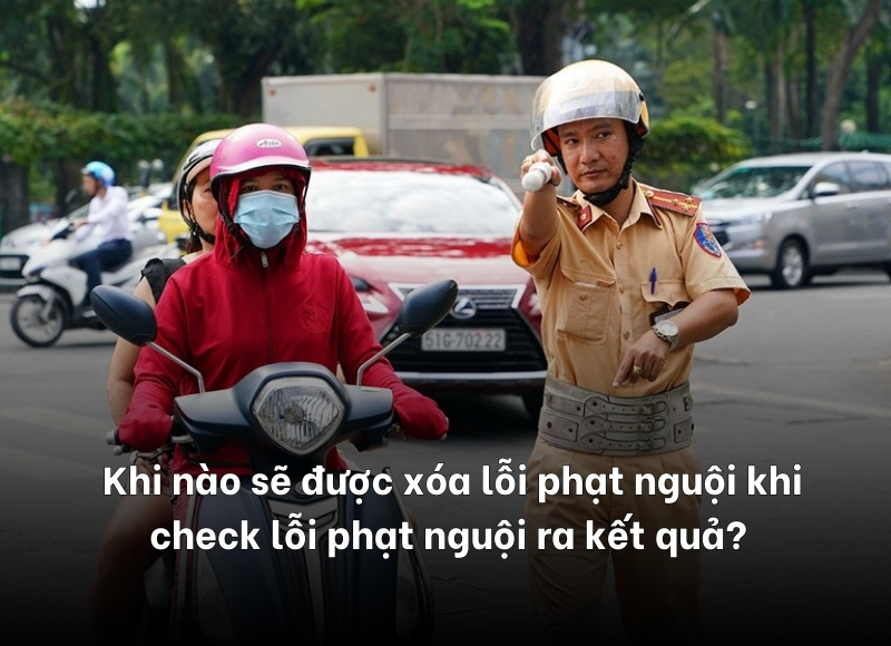 check lỗi phạt nguội