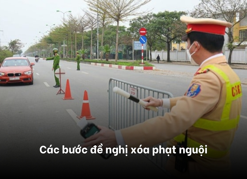 check lỗi phạt nguội