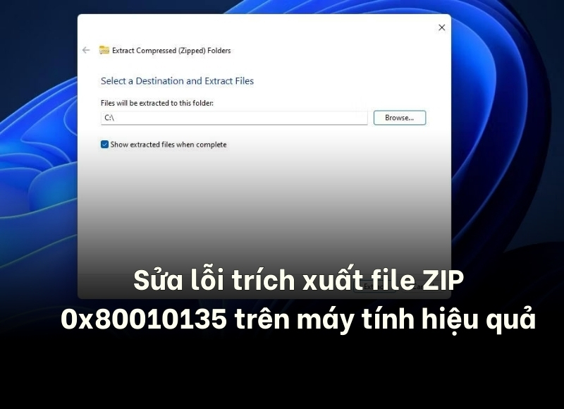 lỗi trích xuất file ZIP 0x80010135
