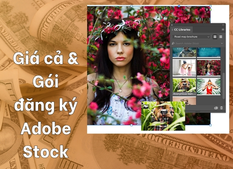  phần mềm adobe stock