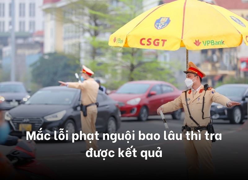 phạt nguội bao lâu thì tra được