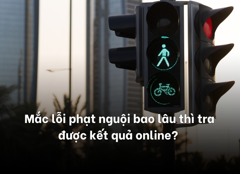 phạt nguội bao lâu thì tra được