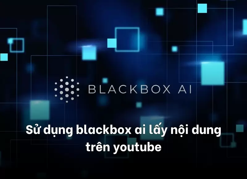 Sử dụng blackbox ai lấy nội dung trên youtube