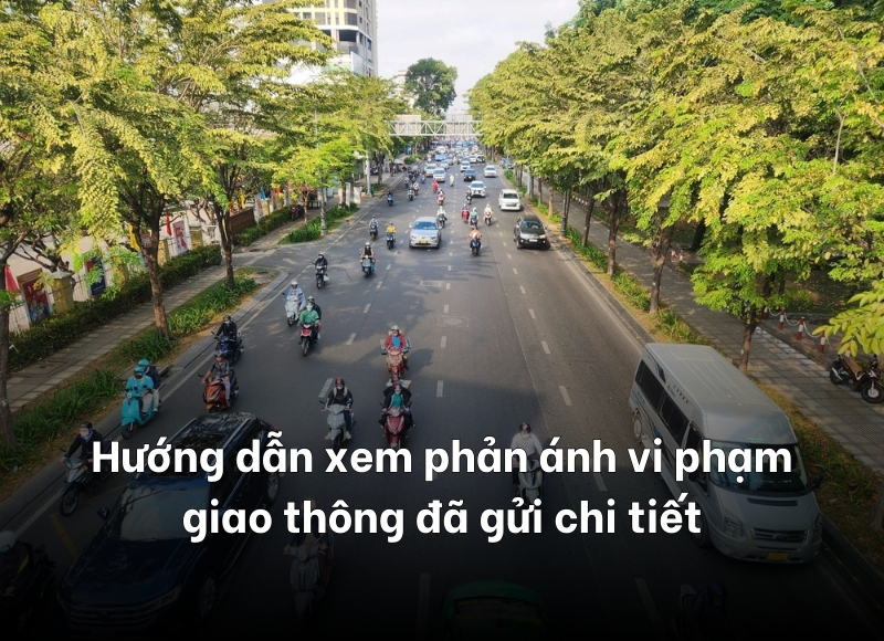 xem phản ánh vi phạm giao thông đã gửi