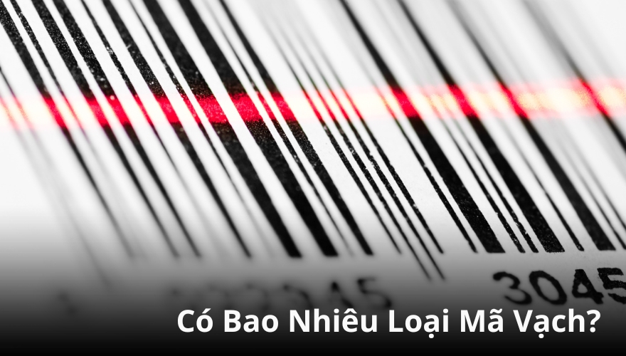 có bao nhiêu loại mã vạch