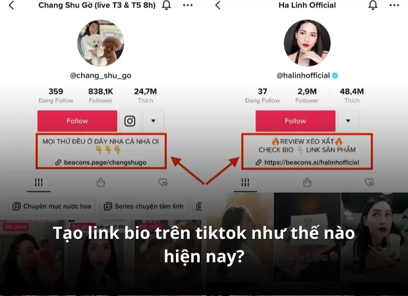 cách gắn link bio trên tiktok