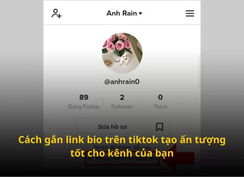 cách gắn link bio trên tiktok