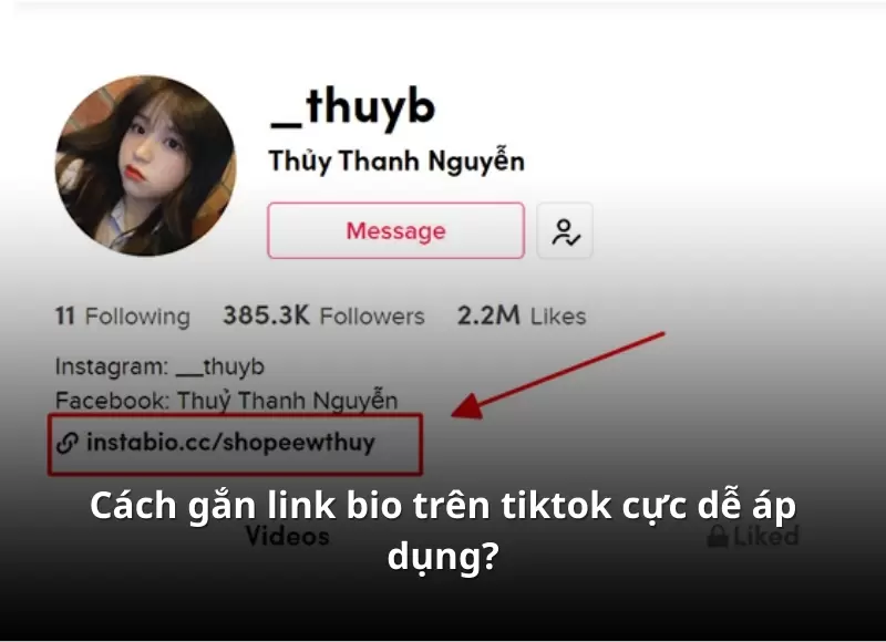 cách gắn link bio trên tiktok