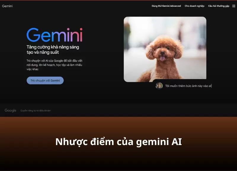 gemini google