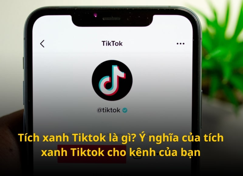 xác minh tích xanh tiktok