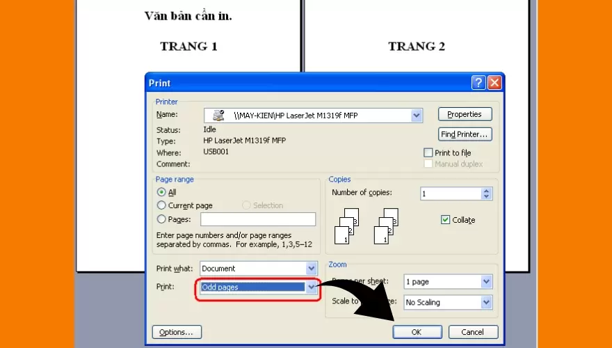 Hướng Dẫn Cách In 2 Mặt Trên Máy In 1 Mặt 
