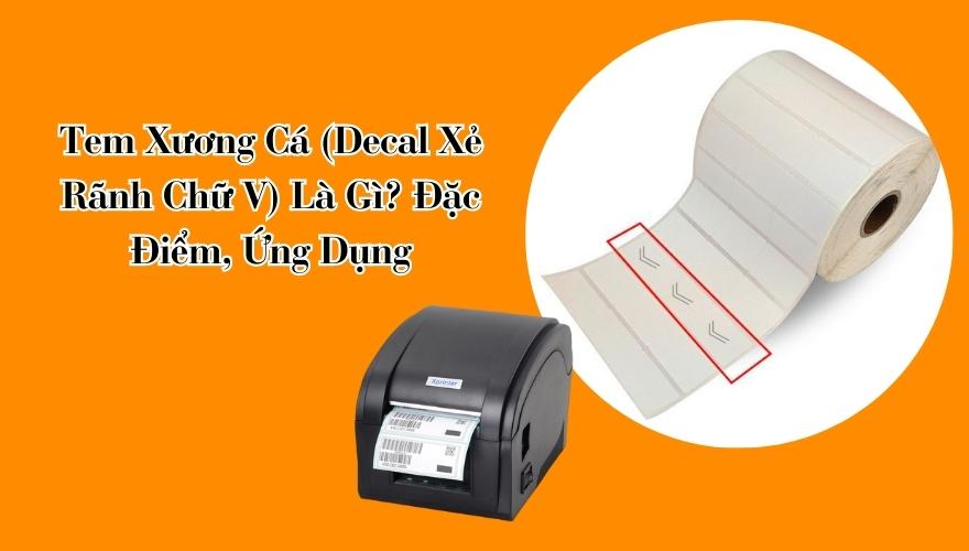 Kích thước của Decal tem xương cá