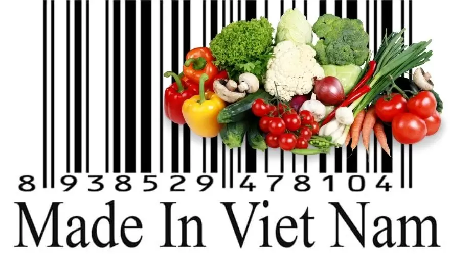 cách check mã vạch Việt Nam