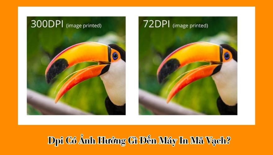 dpi có ảnh hưởng gì đến in ấn mã vạch