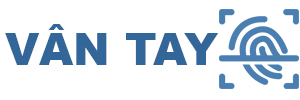van-tay-icon-1 van-tay-icon-1